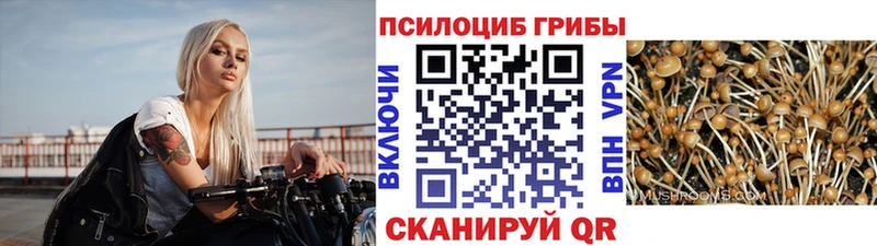 Псилоцибиновые грибы прущие грибы  Люберцы 