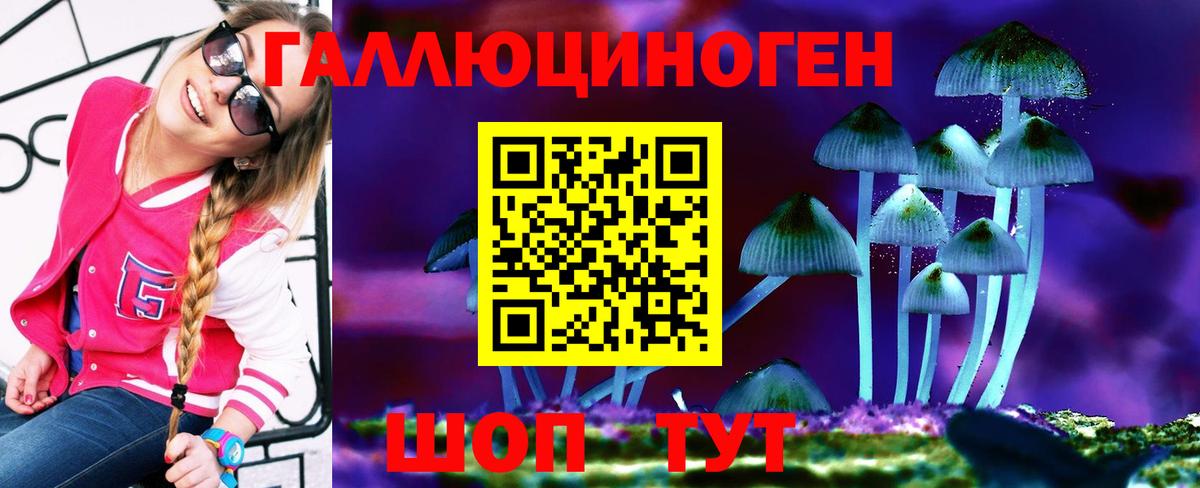 Псилоцибиновые грибы Psilocybe Люберцы