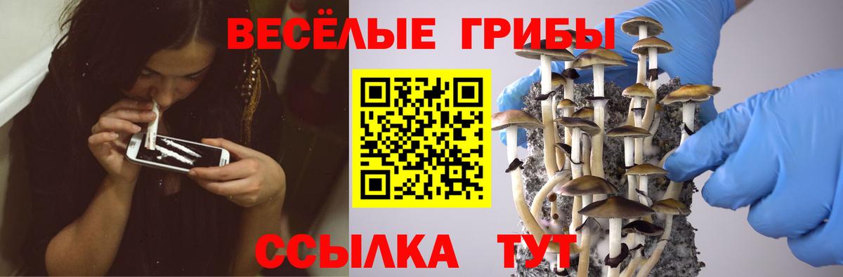Люберцы  Псилоцибиновые грибы Psilocybe  Вход с VPN 